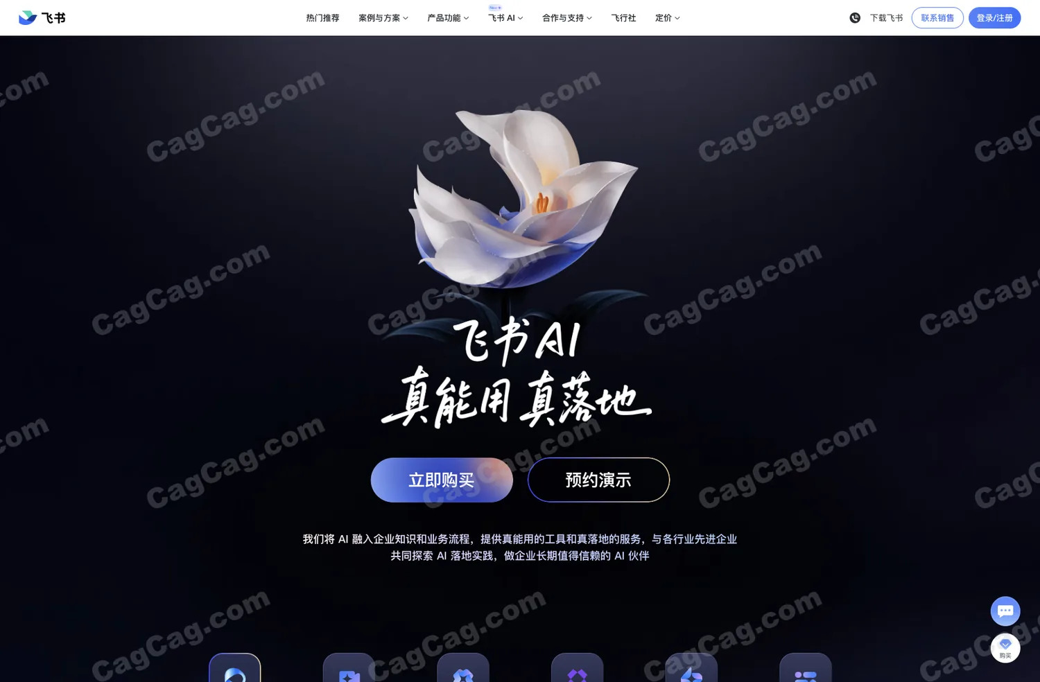 飞书 AI